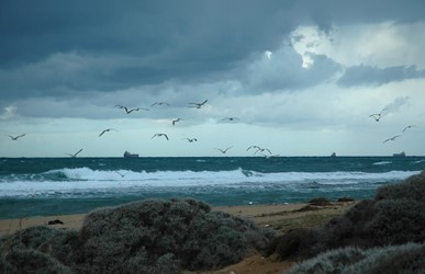 Photos of Bozcaada - Bozcaada Talay Vineyards Guest House