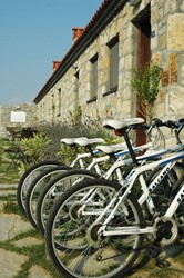 Bozcaada Talay Vineyards Guest House